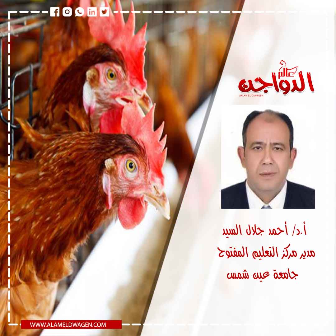  الأمن الحيوى فى مزارع الدواجن Biosecurity in Poultry Farm