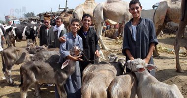 الزراعة توافق على تمويل جديد لمشروع البتلو بـ 306 ملايين جنيه الزراعة توافق على تمويل جديد لمشروع البتلو بـ 306 ملايين جنيه