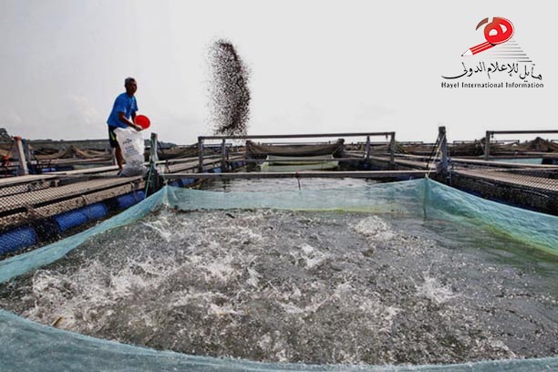 واقعة 