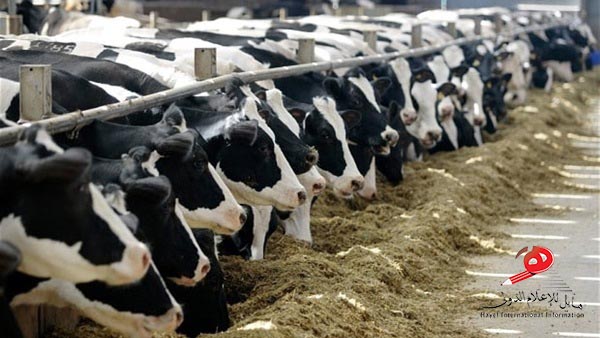 بحلول 2029.. خطة 