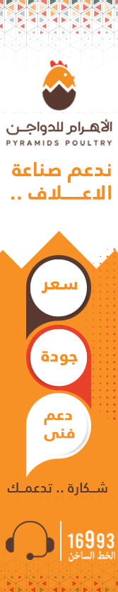 الاهرام للدواجن