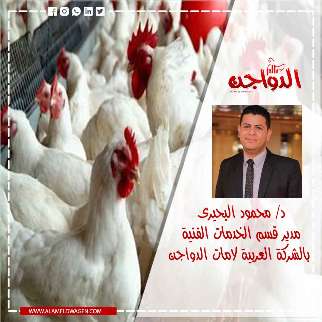 كيفية التعامل مع الأزمات الطارئة علي صناعة الدواجن عالميآ و محليآ و تقليل الخسائر المتوقعة لدورة التسمين  كيفية التعامل مع الأزمات الطارئة علي صناعة الدواجن عالميآ و محليآ و تقليل الخسائر المتوقعة لدورة التسمين