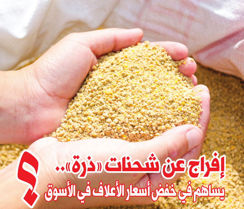 الافراج عن شحنات الذرة يساهم في خفض أسعار الاعلاف في الاسواق الافراج عن شحنات الذرة يساهم في خفض أسعار الاعلاف في الاسواق