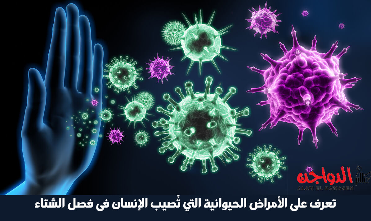 تعرف على الأمراض الحيوانية المنشأ التي تُصيب الإنسان فى فصل الشتاء تعرف على الأمراض الحيوانية المنشأ التي تُصيب الإنسان فى فصل الشتاء