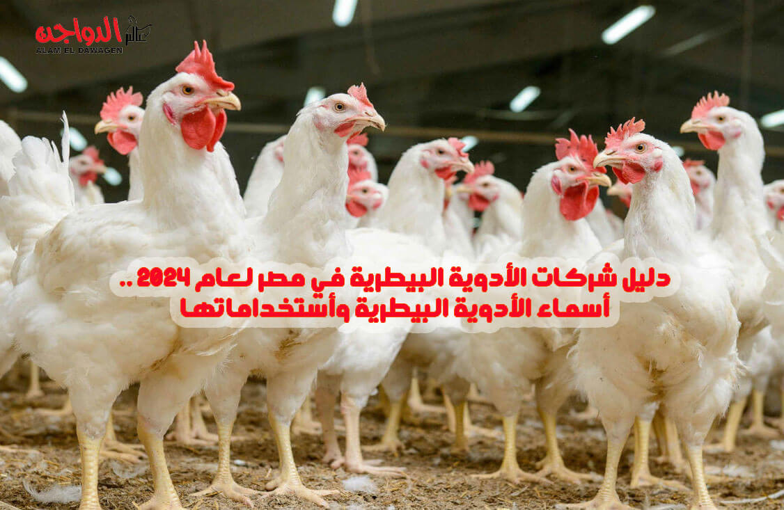 دليل شركات الأدوية البيطرية في مصر لعام 2024 و أسماء الأدوية البيطرية وأستخداماتها دليل شركات الأدوية البيطرية في مصر لعام 2024 و أسماء الأدوية البيطرية وأستخداماتها