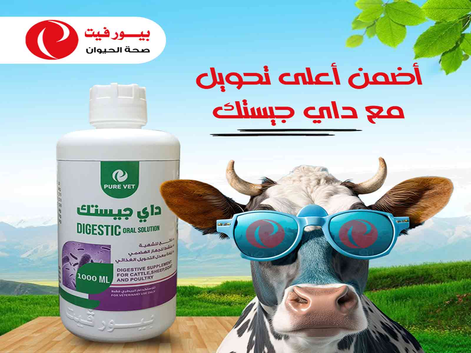 إطلاق الطبعة الجديدة من كتاب 