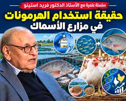 خامسا : حقيقة استخدام الهرمونات في مزارع الأسماك